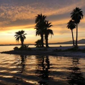 Meet your Posher, Mindy